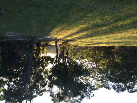 Possum's Hollow And Hooter's Hut - Accommodation Bookings 0