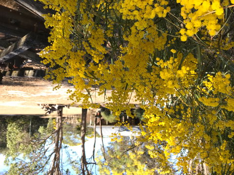 Possum's Hollow And Hooter's Hut - Accommodation Bookings 1