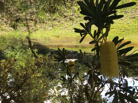 Possum's Hollow And Hooter's Hut - Accommodation Bookings 2