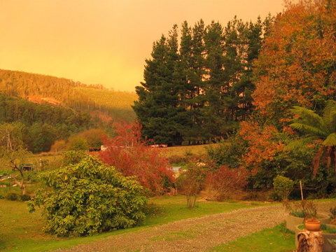 Red Rooster Host Farm - Accommodation Bookings 0
