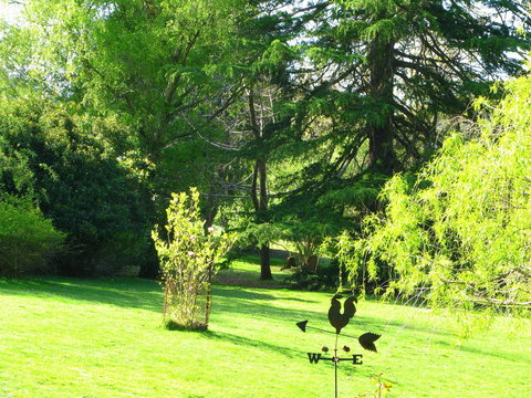 Red Rooster Host Farm - Accommodation Bookings 2