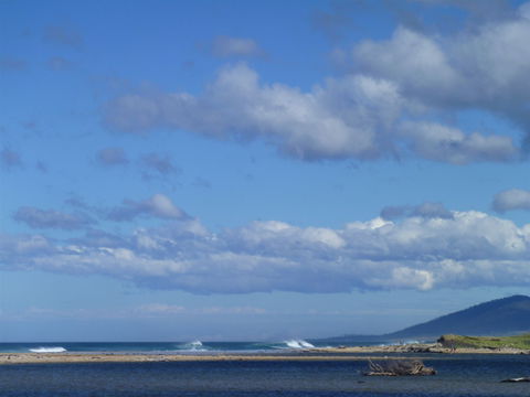 Scamander On The Beach - Accommodation Bookings 1