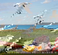 Seafarers Robe - Accommodation Bookings