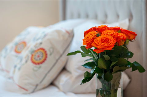 The Nest At Gundaroo - Accommodation Bookings 1