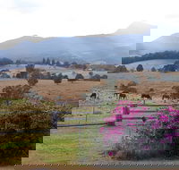 The Barn  House Farm Stay at Possum Manor - Accommodation Bookings