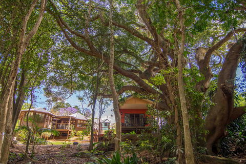 The African Village - By Clouds - Accommodation Bookings 0