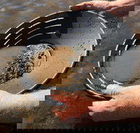 Tuena Camping and Picnic Ground - Accommodation Bookings