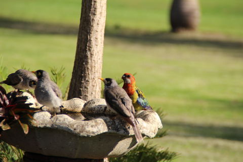 Twin Figs Country Retreat - Accommodation Bookings 2
