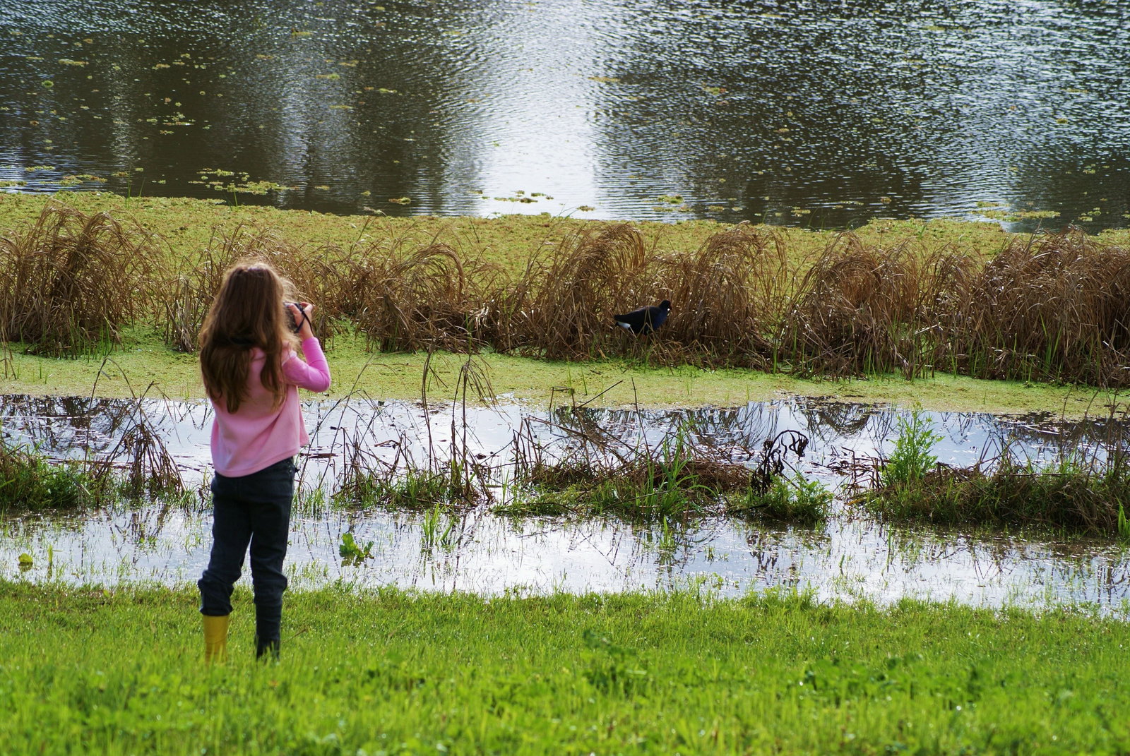 Eulah Creek NSW Accommodation Bookings