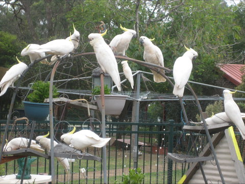 Winnamatta Guest House - Accommodation Bookings 0