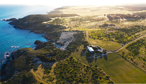Yondah Beach House - Accommodation Bookings 1