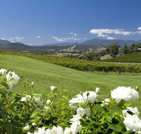 Balgownie Estate Vineyard Resort and Spa - Accommodation Bookings