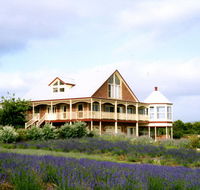 Serendipity Lavender Farm - Accommodation Bookings