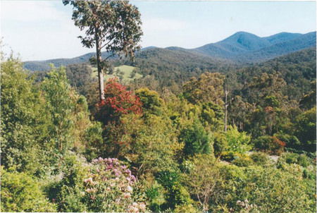 Helgrah Cottage - Accommodation Bookings 5