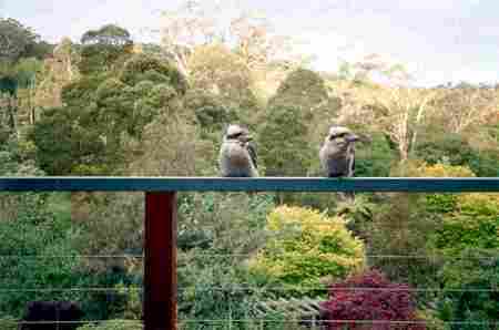  Accommodation Bookings