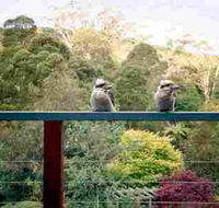 Mast Gully Gardens - Accommodation Bookings