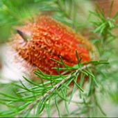 Wide Horizons Bed And Breakfast - Accommodation Bookings 3