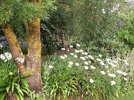 Buln Buln East VIC Accommodation Bookings