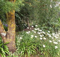 Springbank Bed and Breakfast - Accommodation Bookings
