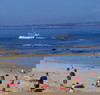 QueenscliffeTourist Park - Accommodation Bookings