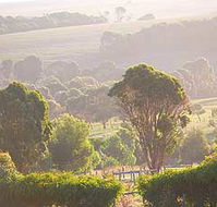 Mackas Farm - Accommodation Bookings