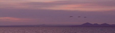 Pelican Sands Bed And Breakfast - Accommodation Bookings 0