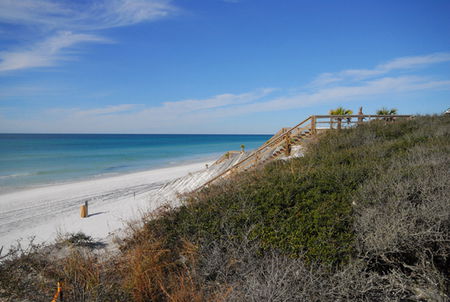 Surf Serenade - Accommodation Bookings 4