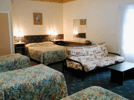 Accommodation Bookings