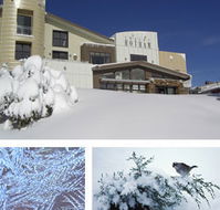 Chalet Hotham - Accommodation Bookings
