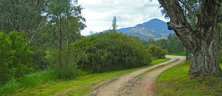 Baranduda Homestead - Accommodation Bookings 1