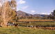 Baranduda Homestead - thumb 5