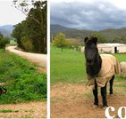 Emerald Park Holiday Farm - Accommodation Bookings