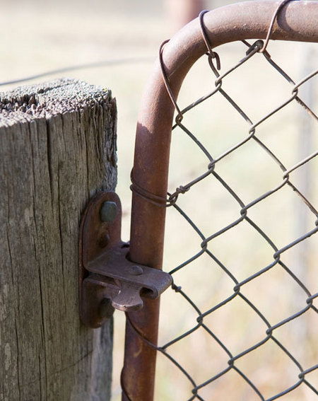 Mount Pleasant Homestead - Accommodation Bookings 2
