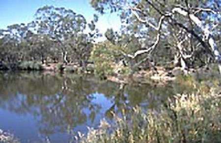 Riverside Host Farm - Accommodation Bookings 1
