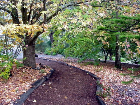 Brigadoon Cottages - Accommodation Bookings 3