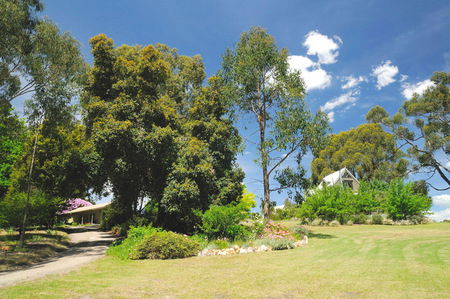 Brigadoon Cottages - Accommodation Bookings 5