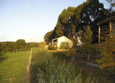 Birchwood Retreat Country Cottages - Accommodation Bookings 3