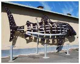 Apollo Bay Recreation Reserve Caravan And Camp Park - Accommodation Bookings 1