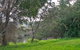 Apollo Bay Recreation Reserve Caravan And Camp Park - thumb 3