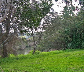 Apollo Bay Recreation Reserve Caravan And Camp Park - Accommodation Bookings 3