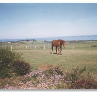First Class Bed and Breakfast - Accommodation Bookings
