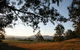 Cann River Rainforest Caravan Park - thumb 0