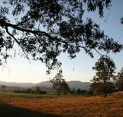 Cann River Rainforest Caravan Park - Accommodation Bookings