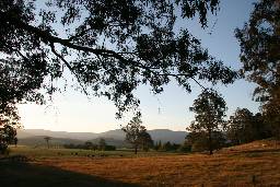Cann River Rainforest Caravan Park - Accommodation Bookings 0