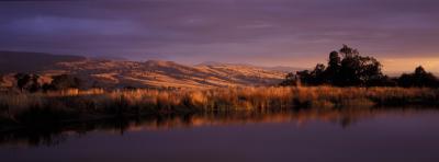 Wombat Hills Cottages - Accommodation Bookings 3