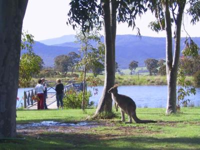 Wombat Hills Cottages - Accommodation Bookings 4