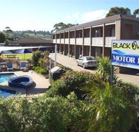 Black Swan Motor Inn - Accommodation Bookings