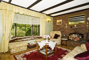 Curtis Falls Mountain Retreat - Accommodation Bookings 1