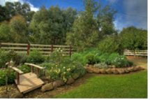 Peppermint Springs Retreat & Day Spa - Accommodation Bookings 2