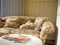The Kosy Koala - Accommodation Bookings 1